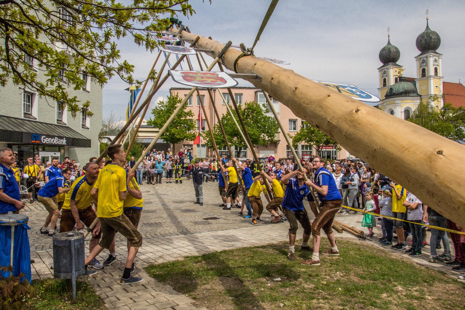 maibaum