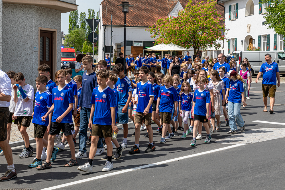 Maibaum 2024 18