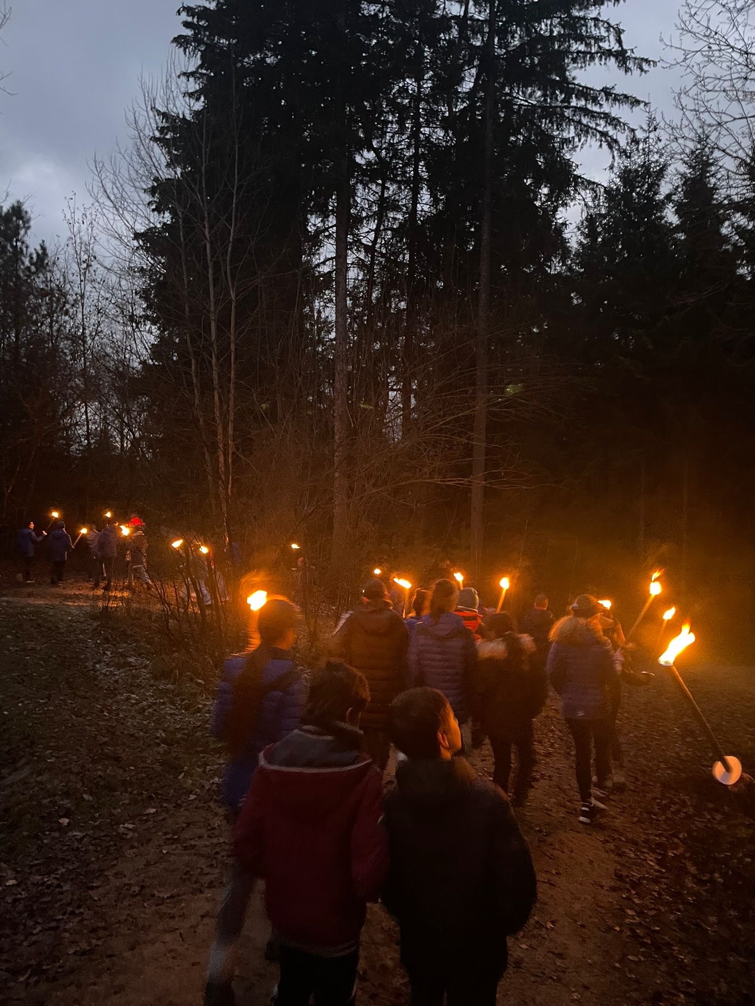 Weihnacht 2024 2